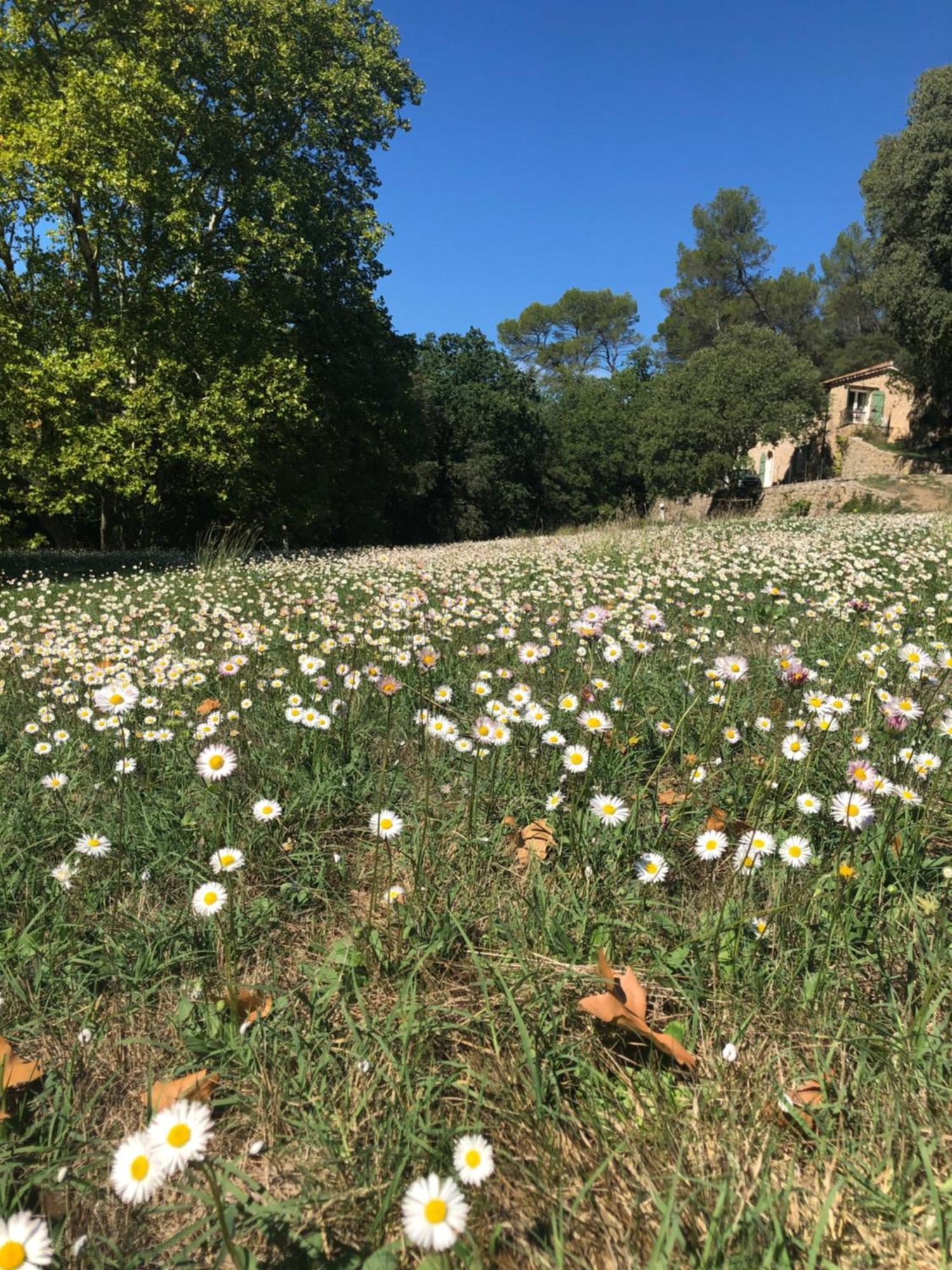 L'Olivier Fleurie Barjols 빌라 외부 사진